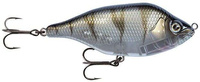 UV Striped Shiner