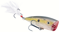 Clear Ghost Sexy Shad