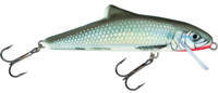 Holo Grey Shiner