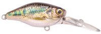 Gudgeon