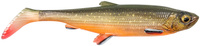 Arctic Char