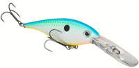 Citrus Shad