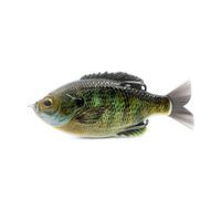 Bluegill