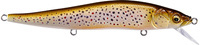 05 FA Brown Trout