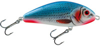 Bleeding Blue Shad