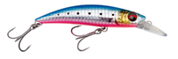 Pink Belly Sardine