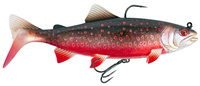 SN Atlantic Char