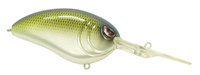 Ayu Shad