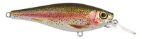 Rainbow Trout