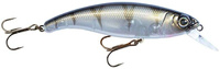 UV Striped Shiner