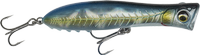 Imperial Sardine