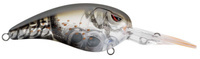 Ghost Orange Craw