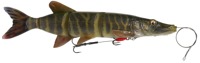 Striped Pike