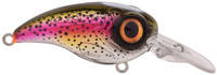 Rainbow Trout