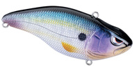 Magic Shad