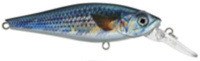 Blue Shad