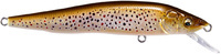 05 FA Brown Trout