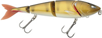 Golden Zander