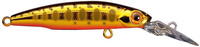 04 Gold Yamame Trout