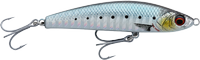 Sardine