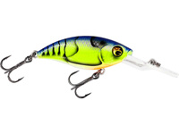 Chartreuse Blue Craw