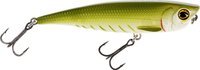 Green Minnow