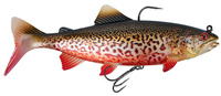 SN Tiger Trout