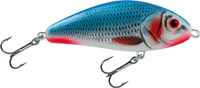 Bleeding Blue Shad