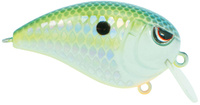 Citrus Shad