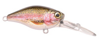 Rainbow Trout