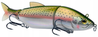 Rainbow Trout