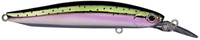 07 Rainbow Trout