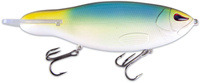 Cisco Shad