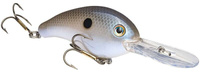 Blue Gizzard Shad