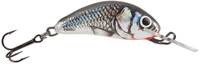 Holographic Grey Shiner