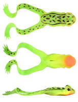 Fluo Green Frog