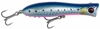 Pink Belly Sardine