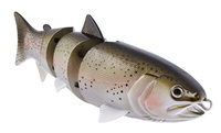 Rainbow Trout