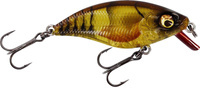 Clear Brown Craw