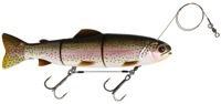 Rainbow Trout