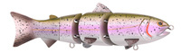 UV Rainbow Trout