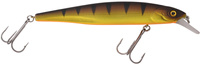 Yellow Perch UV