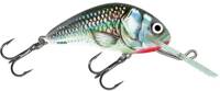 Holographic Grey Shiner