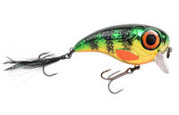 Chrome Perch