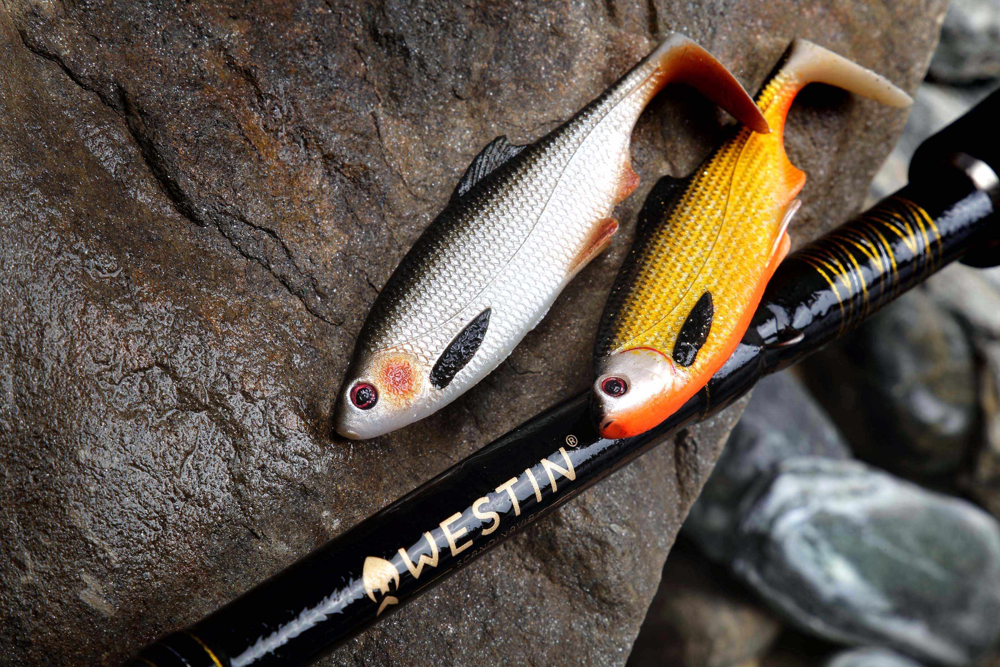 Westin Ricky The Roach Shadtail SL/ST - design