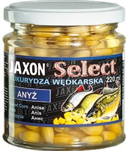 Kukurydza Jaxon Select