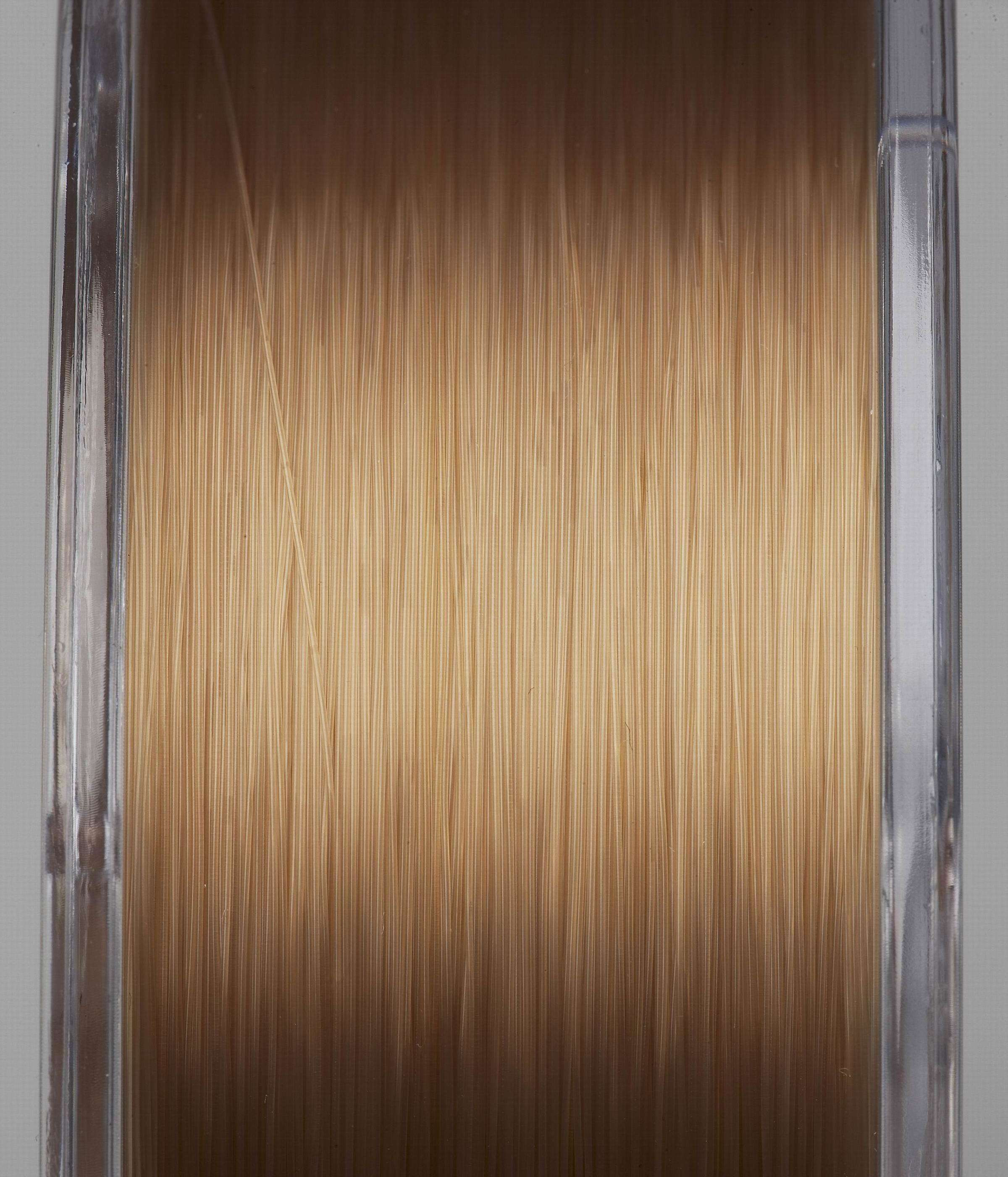 Żyłka Prologic Density Carp