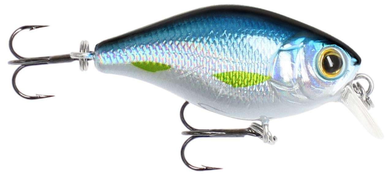 Wobler Mikado Bold Head