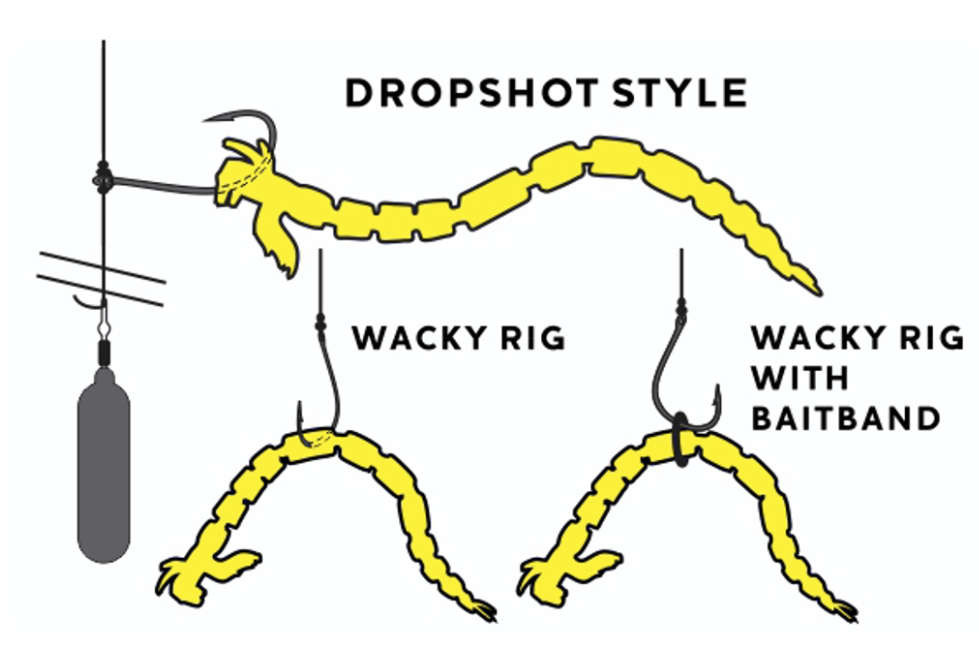 Kolory gumy DropShot Westin Bloodteez