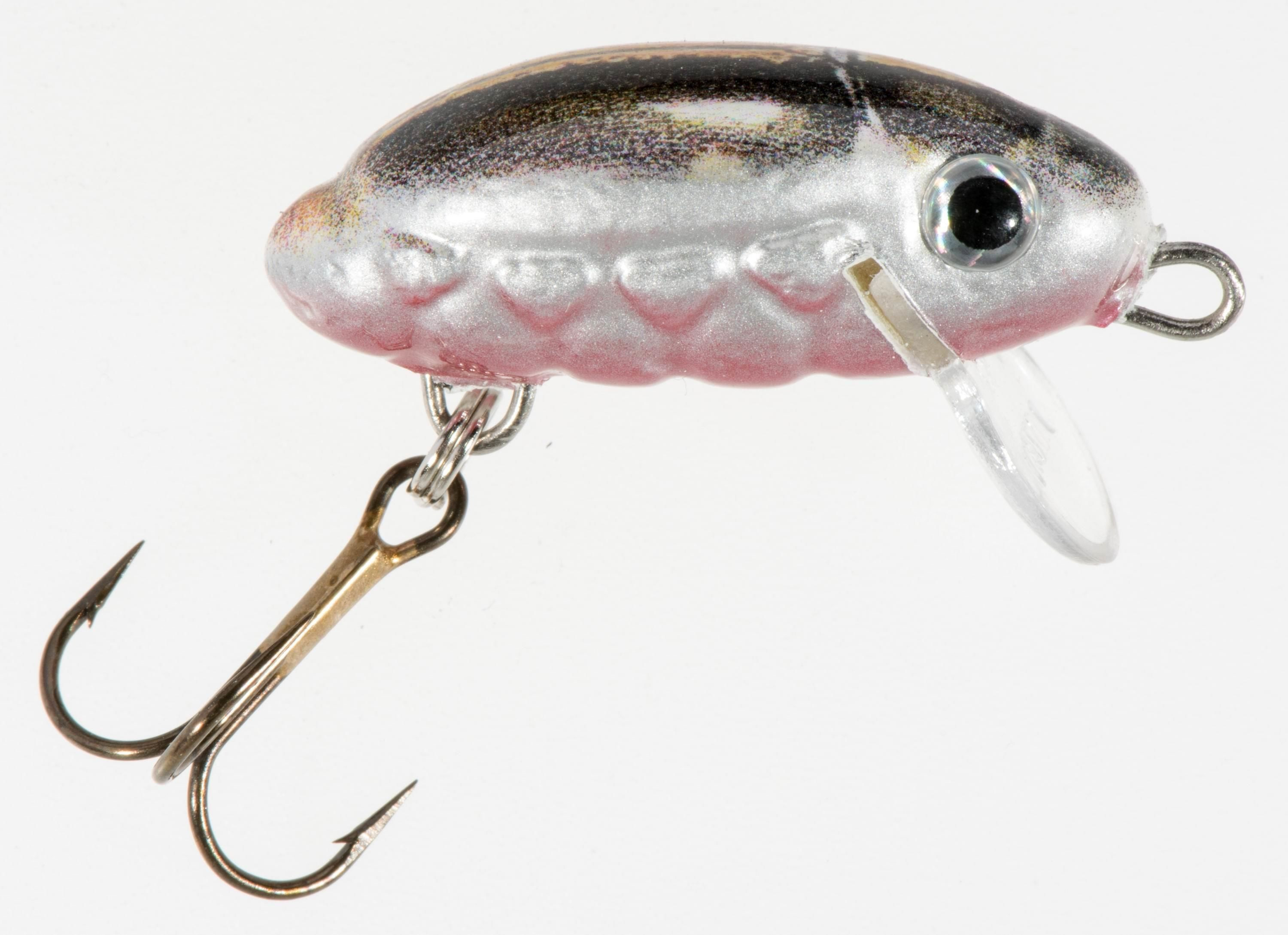 Woblery Jaxon HS Chrabąszcz Smużak